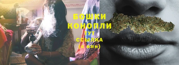 гидропоника Лагань