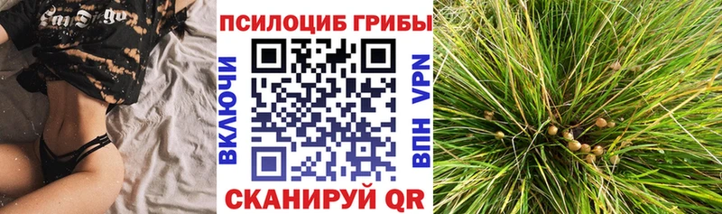 Галлюциногенные грибы мухоморы  купить наркотики сайты  Яблоновский 